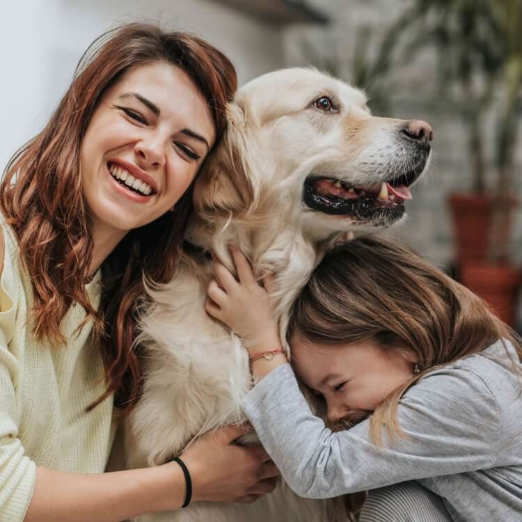 pet, owner and child representing the pet-friendly clarkson las vegas apartments istock 1072956614
